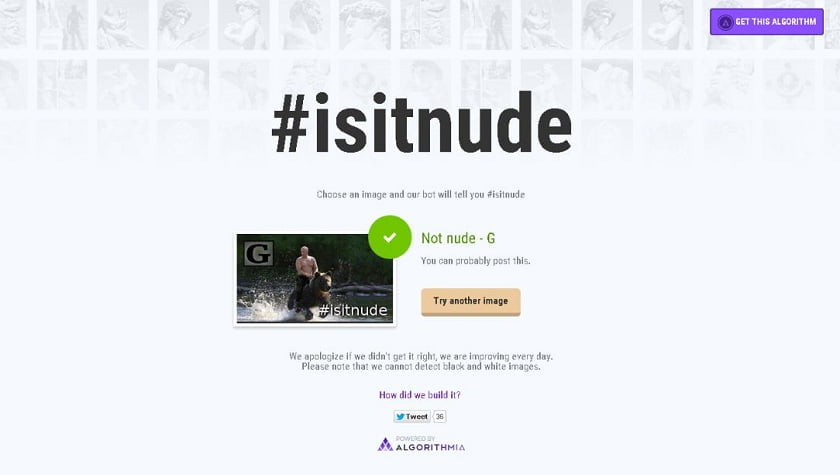 Algorithmia Detects Graphic Nudity Online