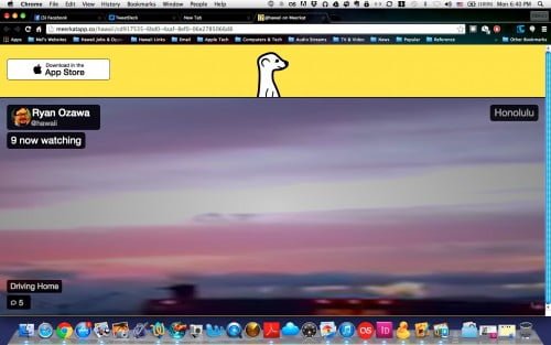 Meerkat