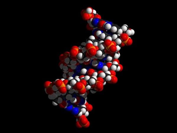Synthetic DNA Storage