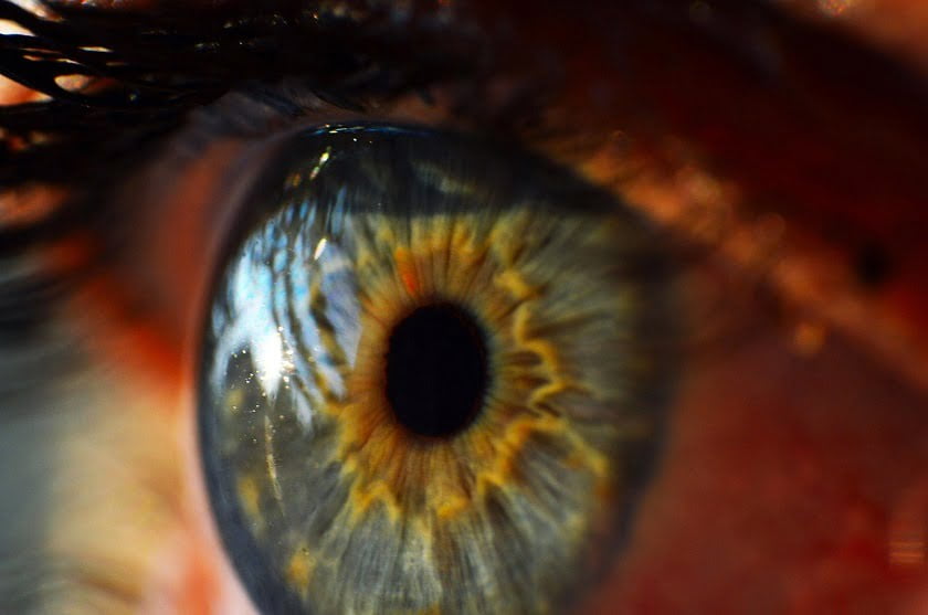 Google Bionic Eye Patent