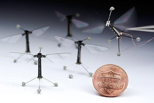 RoboBees Robotic caterpillar