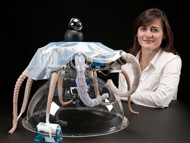 Robotic Octopus