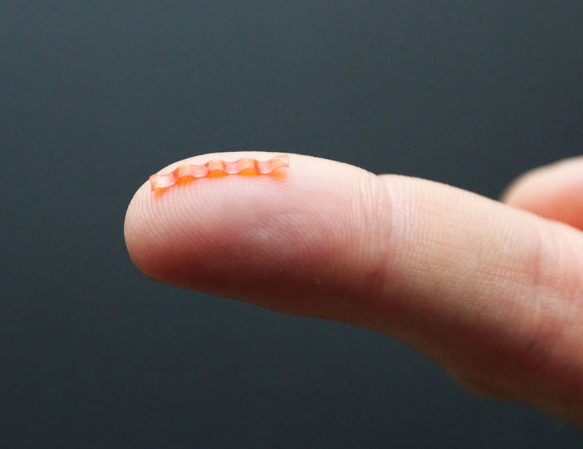 Robotic caterpillar