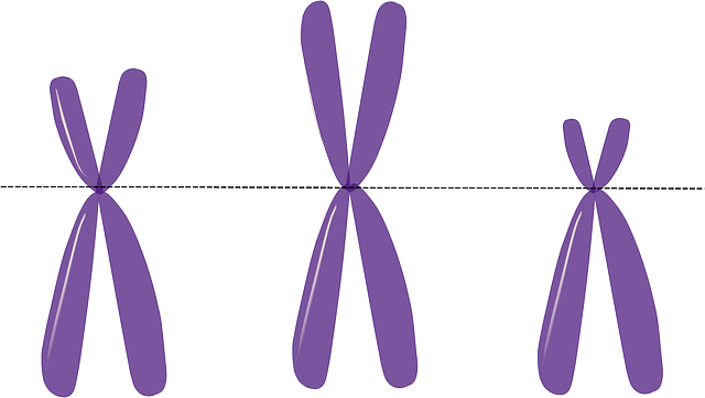 genome editing