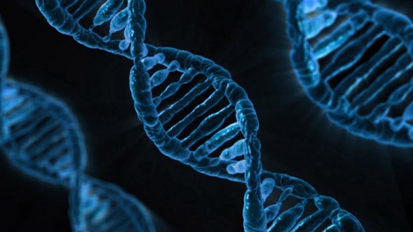familial DNA searching