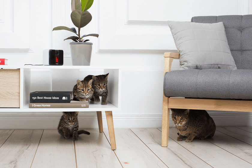 petcube play2
