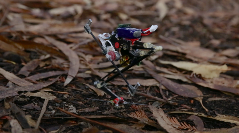 Salto robot