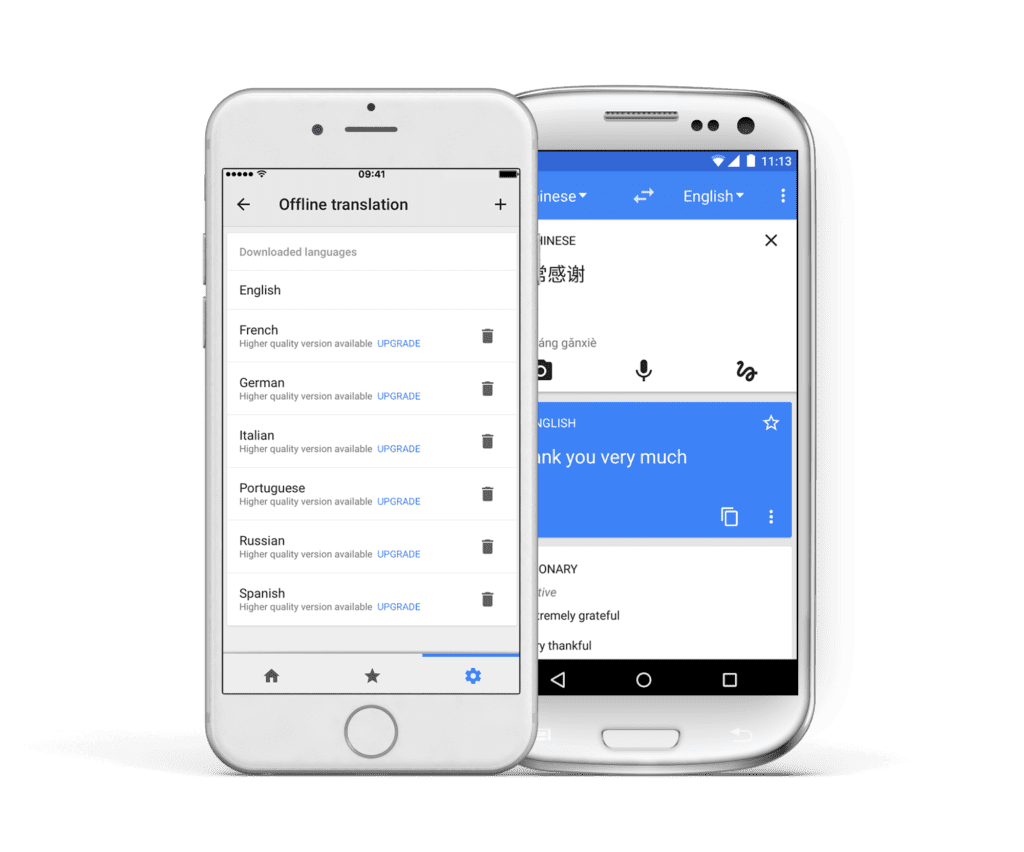 Google Translate app