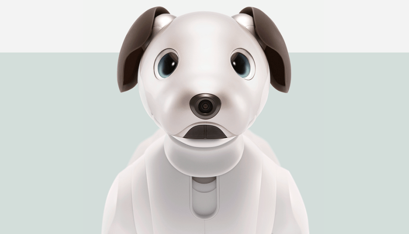 aibo