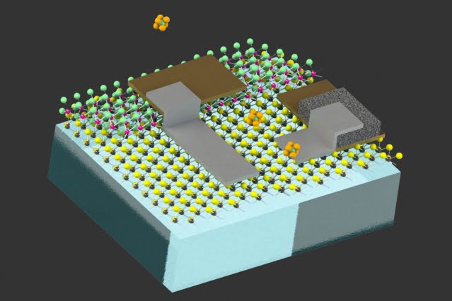 Cell-sized Robots