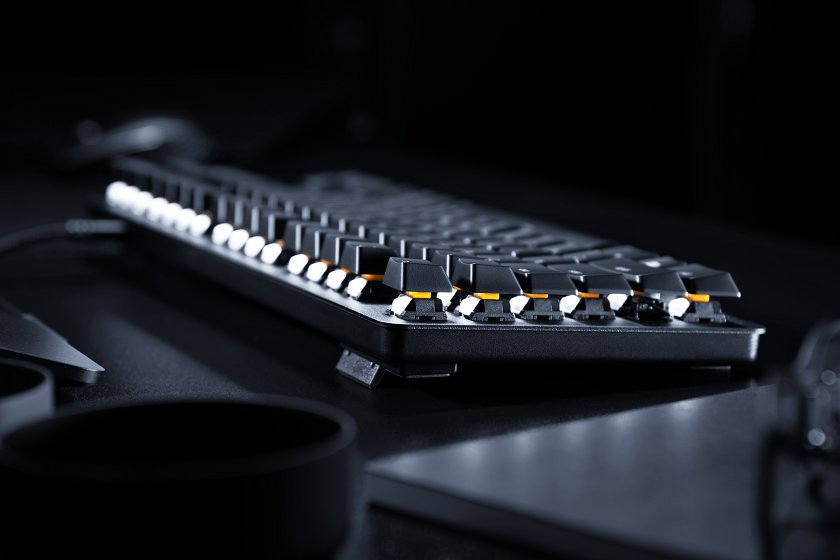 BlackWidow Lite