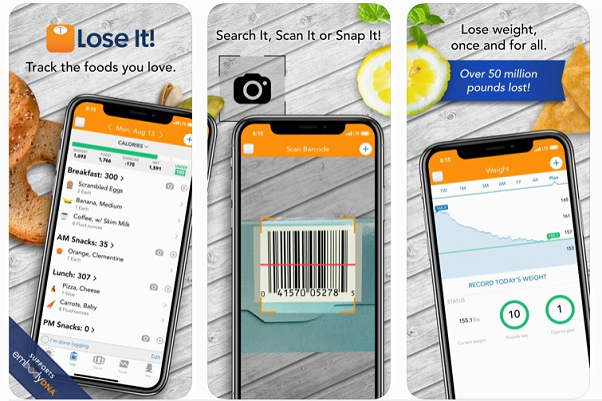 LoseIt Calorie Counter Ap