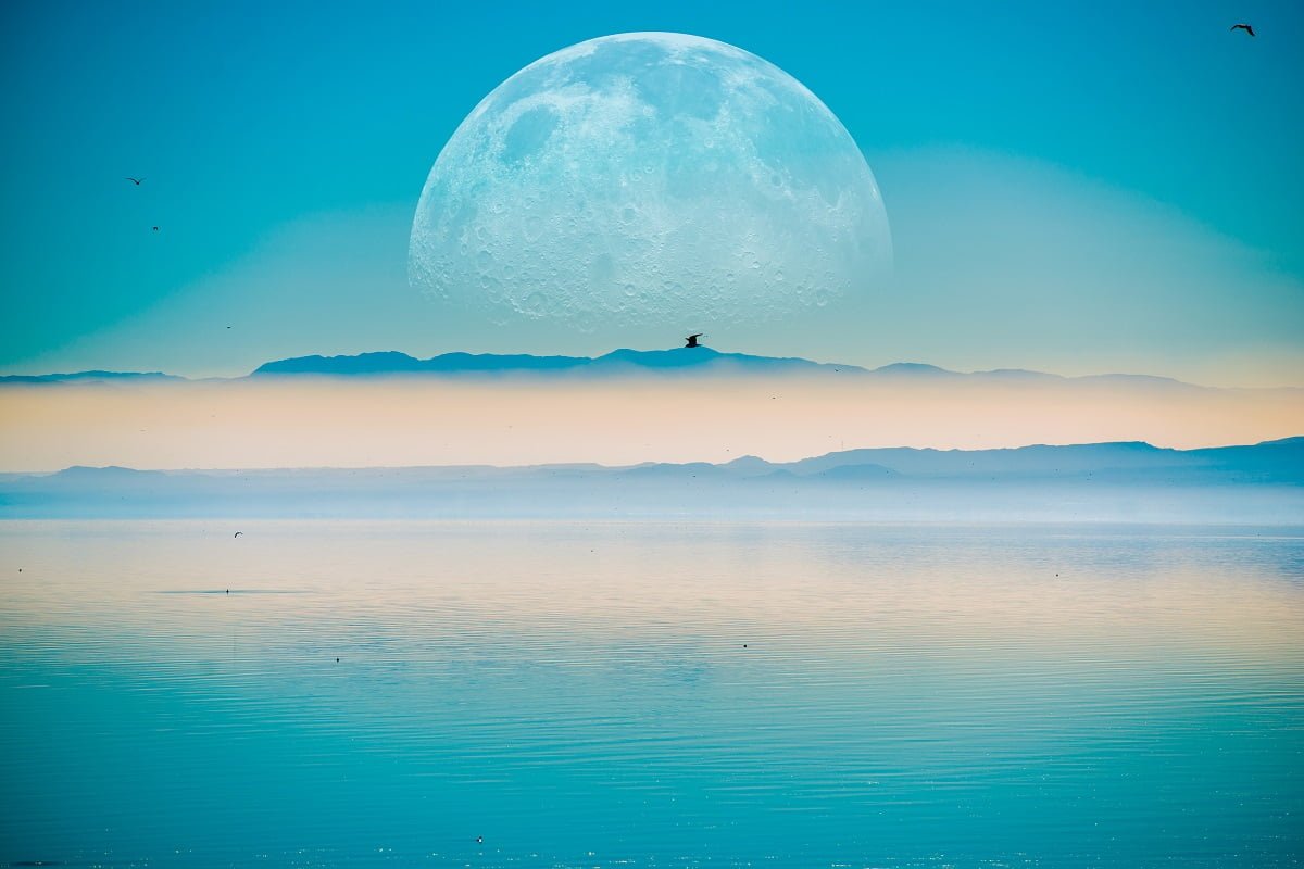 the moon ploonet exomoons