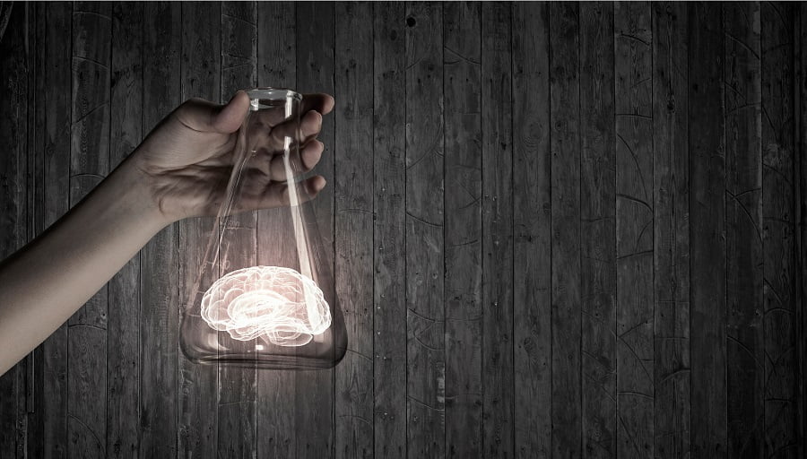 Scientists Grow Human Brain