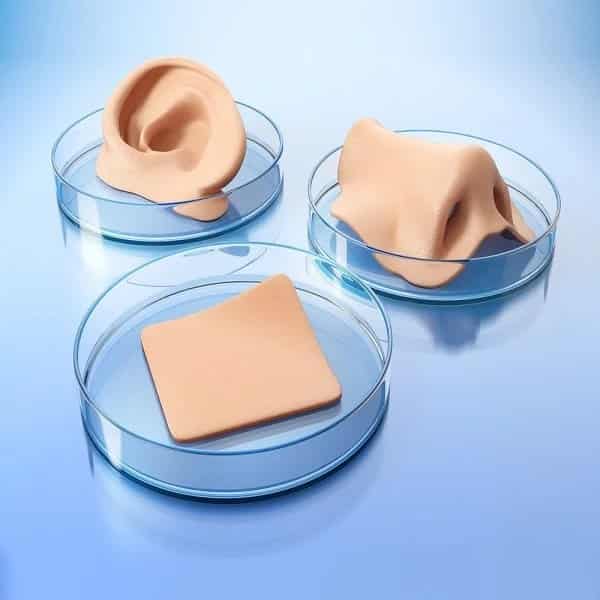 Artificial skin, artificial skin for burns, artificial skin model, artificial skin technology, artificial human skin