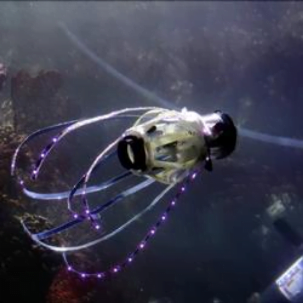 Squid Robot