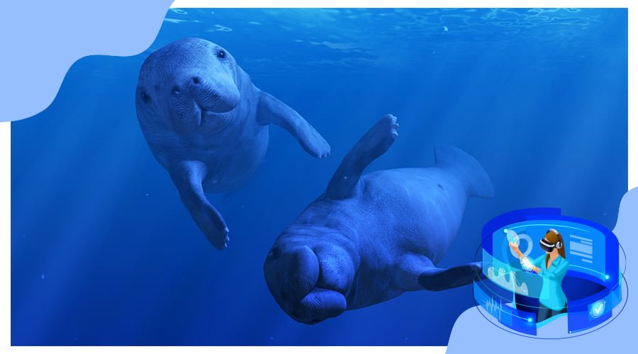 Best VR apps