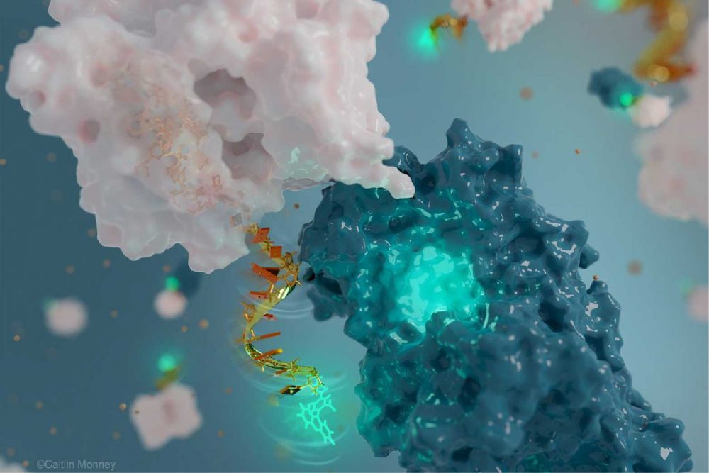 nantechnology nature methods