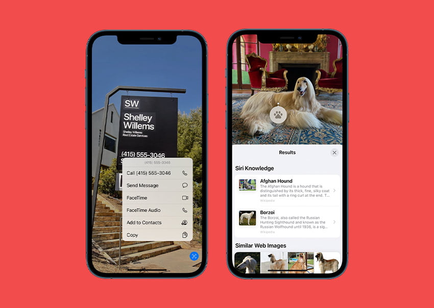 iOS visual lookup