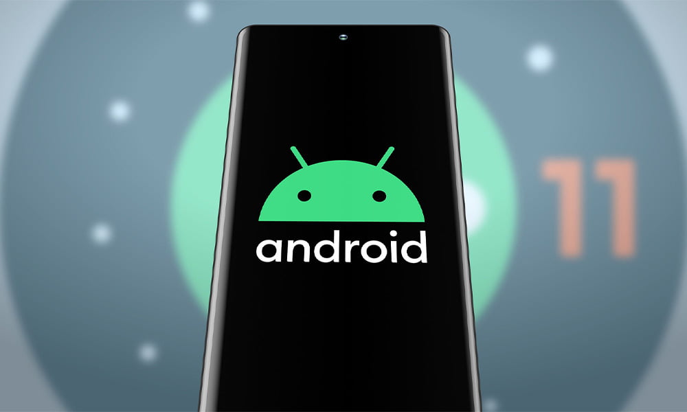 Android Q Easter Egg