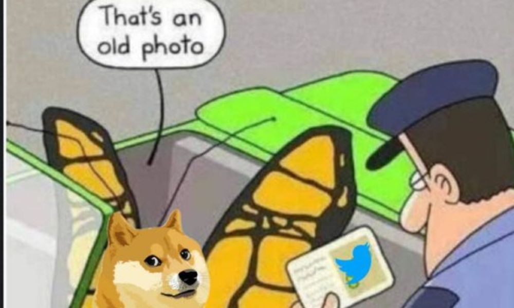 Doge Twitter Logo