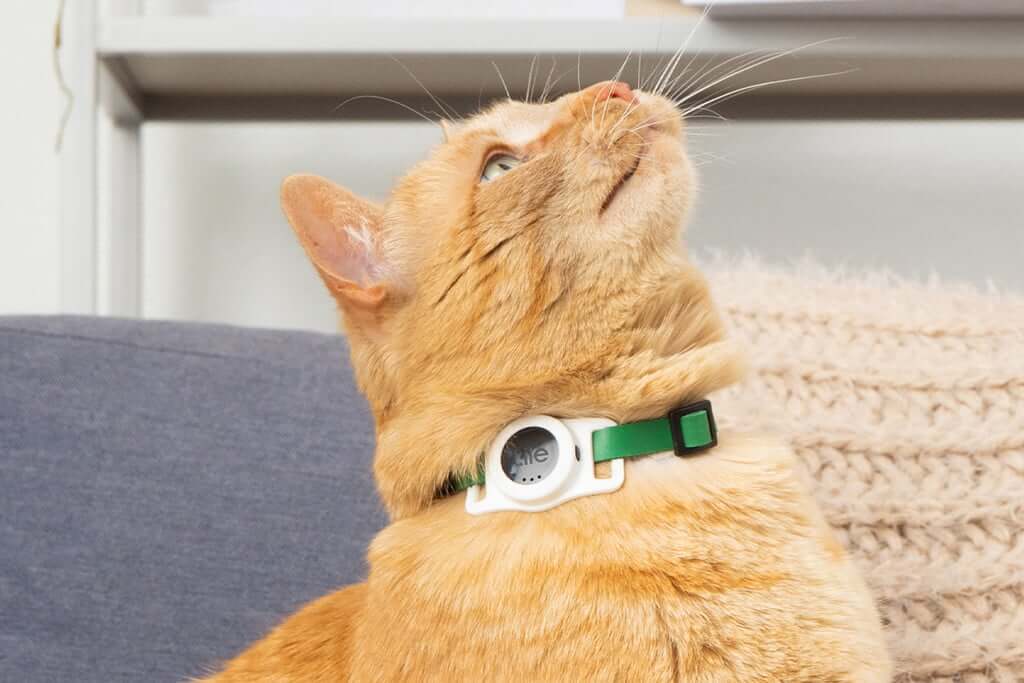 Tile Cat Tracker
